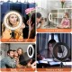 6,2 ίντσες Selfie LED Light Ring με τρίποδο